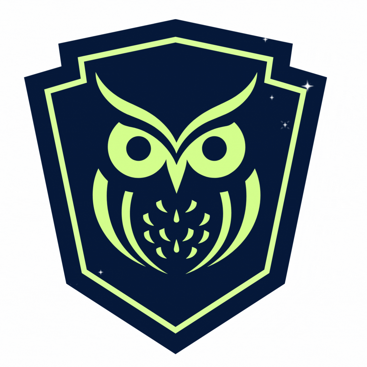 Project Owl Warrior badge animation