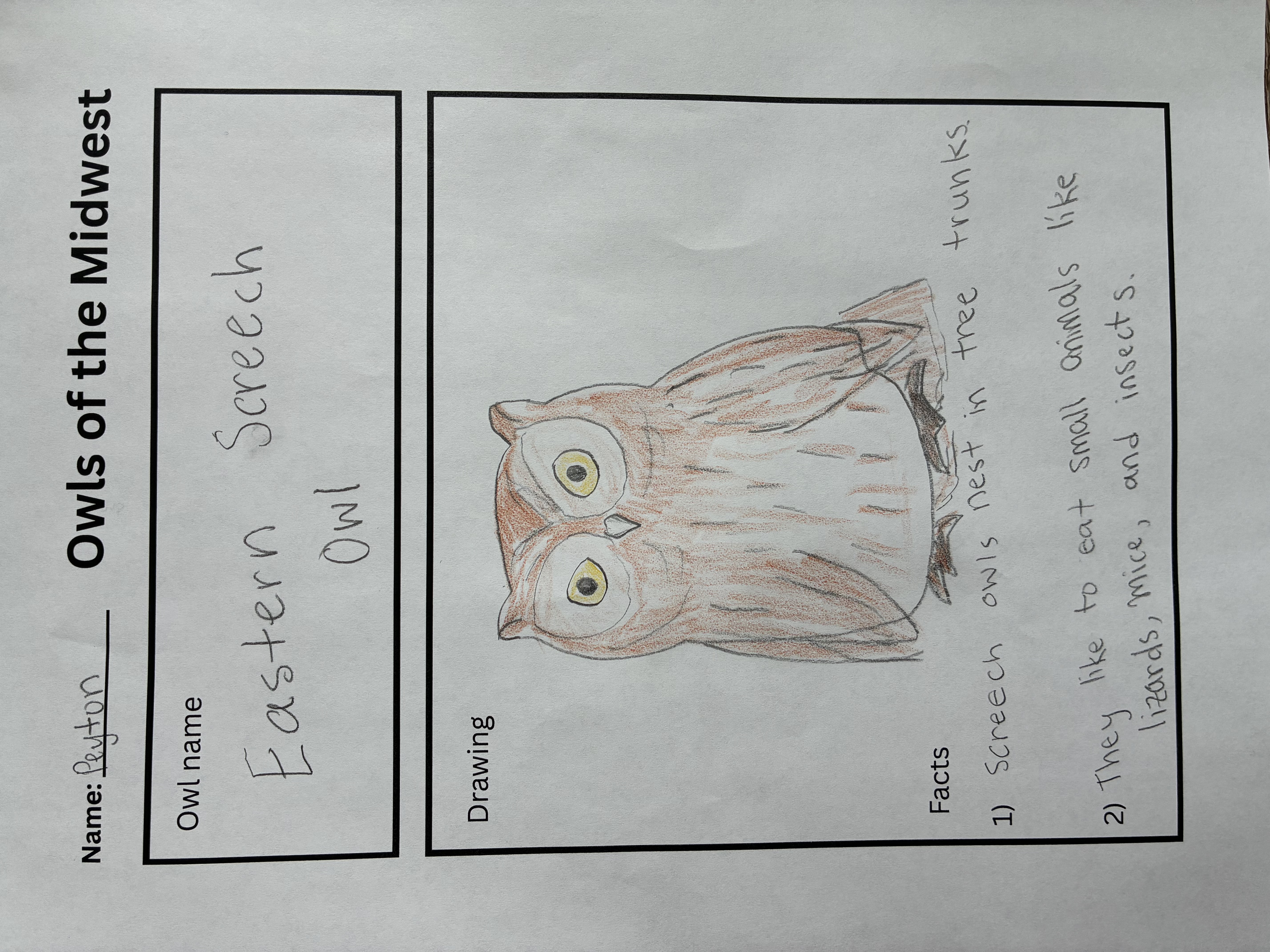 Example of a completed activity sheet